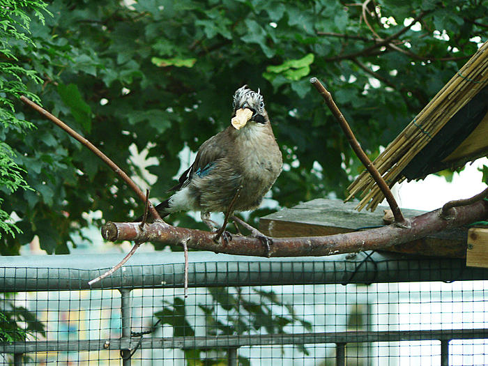 Klicke auf die Grafik fr eine grere Ansicht

Name:	P1490928_b2.jpg
Hits:	1
Gre:	107,4 KB
ID:	101863