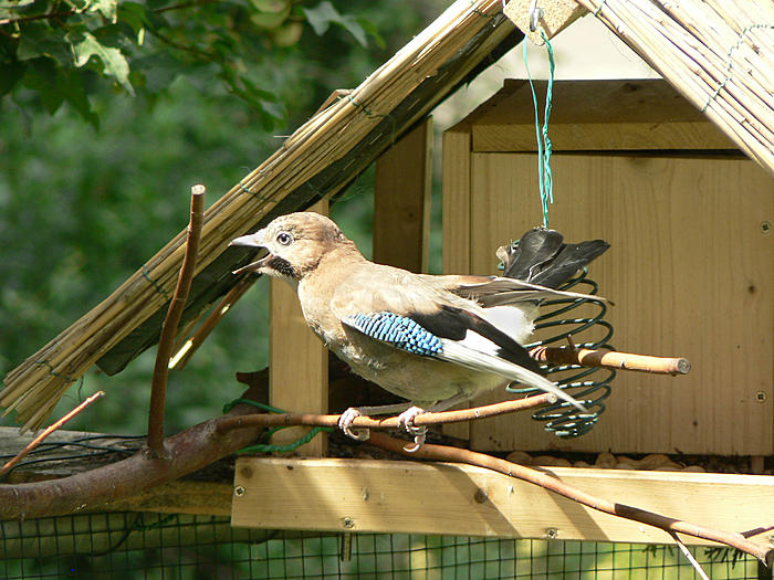 Klicke auf die Grafik fr eine grere Ansicht

Name:	P1500090_b2.jpg
Hits:	0
Gre:	92,1 KB
ID:	103042