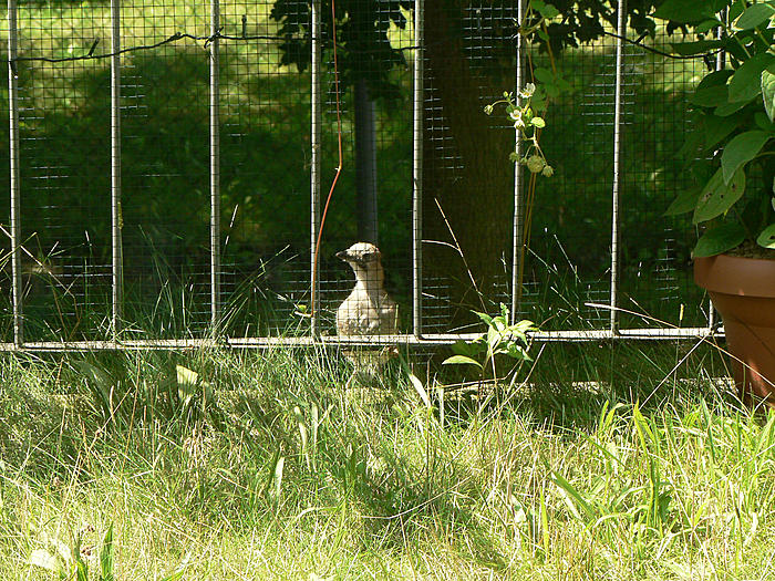 Klicke auf die Grafik fr eine grere Ansicht

Name:	P1500175_b2.jpg
Hits:	0
Gre:	148,3 KB
ID:	103043