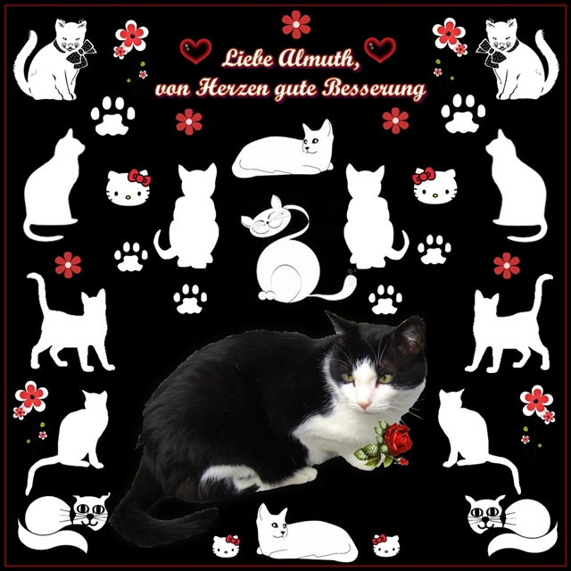 Klicke auf die Grafik f�r eine gr��ere Ansicht

Name:	Almuth klein.jpg
Hits:	0
Gr��e:	53,6 KB
ID:	106652