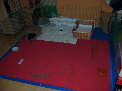 Klicke auf die Grafik fr eine grere Ansicht

Name:	penny9.jpg
Hits:	74
Gre:	22,6 KB
ID:	10754