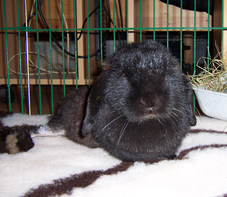 Klicke auf die Grafik fr eine grere Ansicht

Name:	penny13.jpg
Hits:	64
Gre:	51,8 KB
ID:	10821