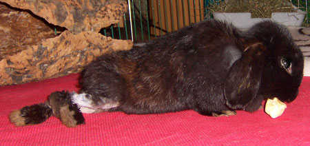 Klicke auf die Grafik fr eine grere Ansicht

Name:	penny12.jpg
Hits:	62
Gre:	30,7 KB
ID:	10822