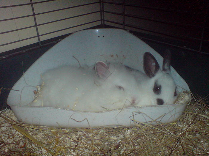 Klicke auf die Grafik fr eine grere Ansicht

Name:	DSC07310.jpg
Hits:	4
Gre:	58,1 KB
ID:	108490
