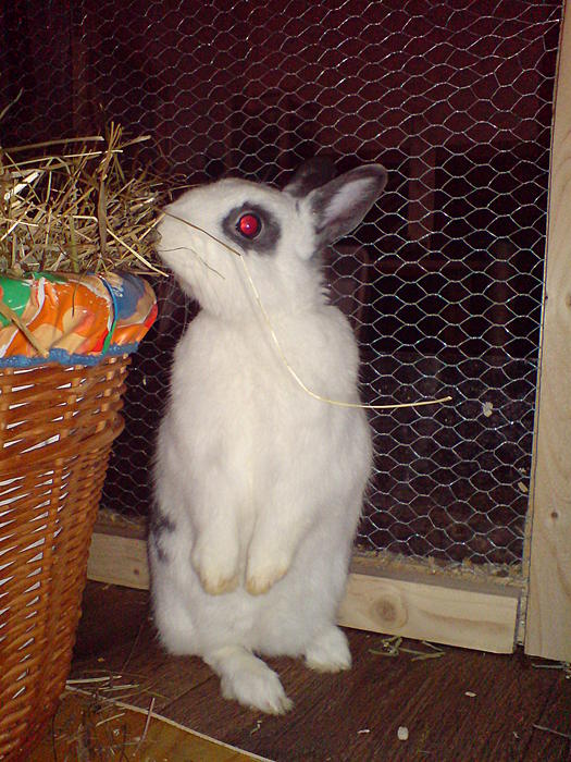 Klicke auf die Grafik fr eine grere Ansicht

Name:	DSC08608.jpg
Hits:	1
Gre:	52,7 KB
ID:	108494