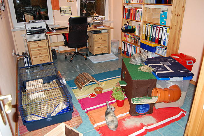 Klicke auf die Grafik fr eine grere Ansicht

Name:	TY__01532.jpg
Hits:	2
Gre:	93,0 KB
ID:	109474