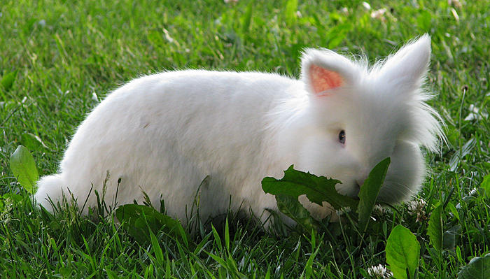Klicke auf die Grafik fr eine grere Ansicht

Name:	Hatschi.jpg
Hits:	0
Gre:	82,2 KB
ID:	111426