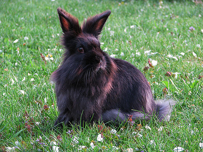 Klicke auf die Grafik fr eine grere Ansicht

Name:	Elfi.jpg
Hits:	0
Gre:	148,5 KB
ID:	111427