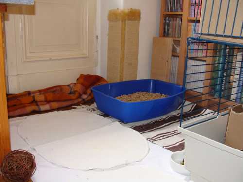 Klicke auf die Grafik fr eine grere Ansicht

Name:	2.JPG
Hits:	74
Gre:	16,7 KB
ID:	11177