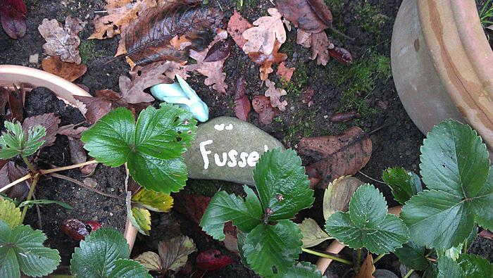 Klicke auf die Grafik fr eine grere Ansicht

Name:	in-memoriam-fussel.jpg
Hits:	0
Gre:	78,5 KB
ID:	112367