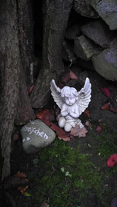 Klicke auf die Grafik fr eine grere Ansicht

Name:	in-memoriam-streifchen.jpg
Hits:	0
Gre:	33,0 KB
ID:	112370
