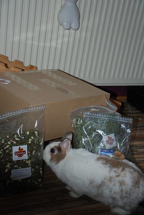 Klicke auf die Grafik fr eine grere Ansicht

Name:	DSC_8752.jpg
Hits:	0
Gre:	32,1 KB
ID:	116997