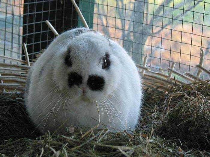 Klicke auf die Grafik für eine größere Ansicht
Name:	1fb5c532b6d30a3d29c38b00a4fb85ca.jpg
Hits:	2
Größe:	51,4 KB
ID:	117124