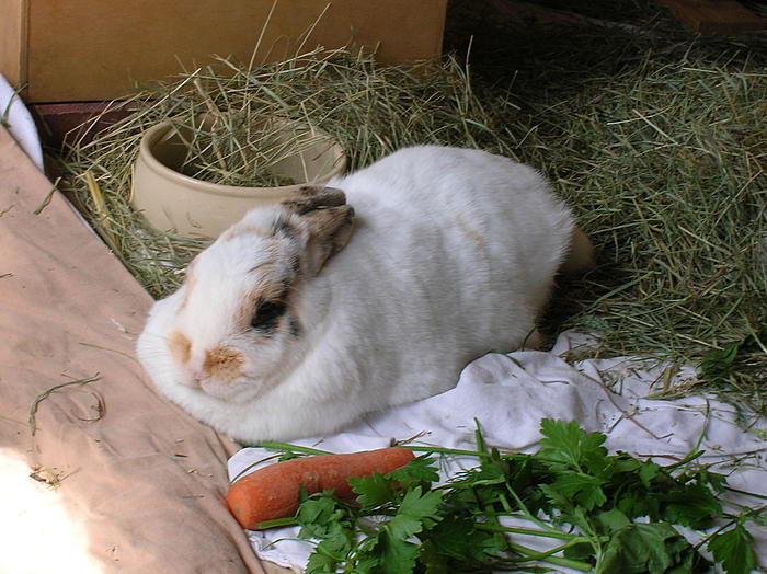 Klicke auf die Grafik fr eine grere Ansicht

Name:	007.jpg
Hits:	0
Gre:	77,5 KB
ID:	117344