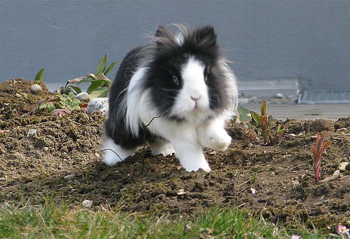 Klicke auf die Grafik fr eine grere Ansicht

Name:	Timmy.jpg
Hits:	1
Gre:	103,2 KB
ID:	117411