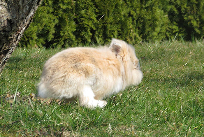 Klicke auf die Grafik fr eine grere Ansicht

Name:	April.jpg
Hits:	1
Gre:	106,2 KB
ID:	117412