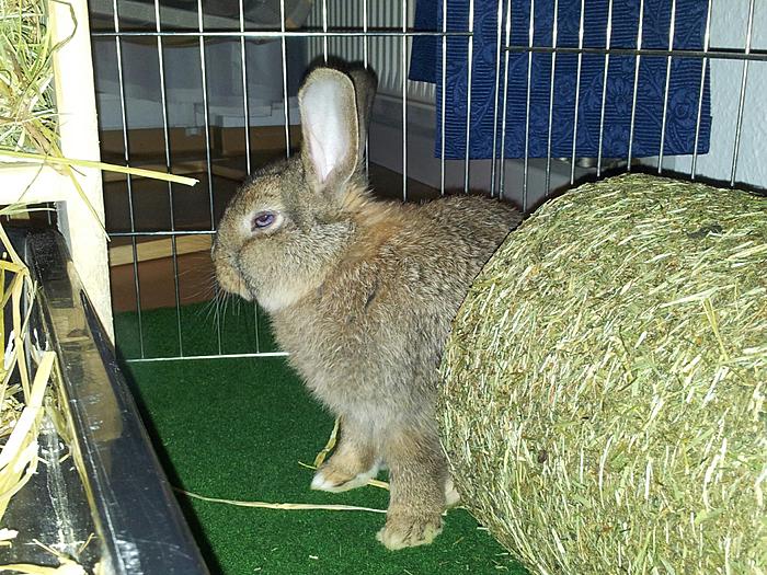 Klicke auf die Grafik f�r eine gr��ere Ansicht

Name:	20150422_212456_resized_1.jpg
Hits:	0
Gr��e:	111,9 KB
ID:	119713
