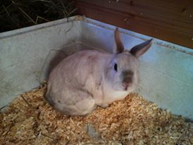 Klicke auf die Grafik f�r eine gr��ere Ansicht

Name:	a1.jpg
Hits:	108
Gr��e:	12,6 KB
ID:	120648