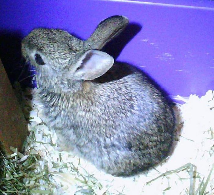 Klicke auf die Grafik f�r eine gr��ere Ansicht

Name:	wildies 2.jpg
Hits:	0
Gr��e:	58,8 KB
ID:	121200