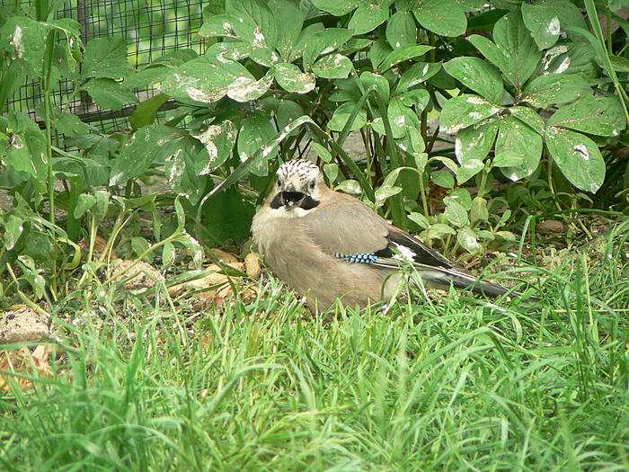 Klicke auf die Grafik fr eine grere Ansicht

Name:	P1540903_b2.jpg
Hits:	0
Gre:	147,6 KB
ID:	121298