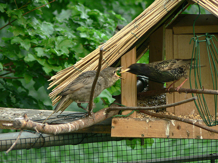 Klicke auf die Grafik fr eine grere Ansicht

Name:	P1550103_b2.jpg
Hits:	1
Gre:	110,5 KB
ID:	121445