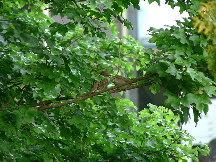Klicke auf die Grafik fr eine grere Ansicht

Name:	P1550022_b2.jpg
Hits:	2
Gre:	130,9 KB
ID:	121448