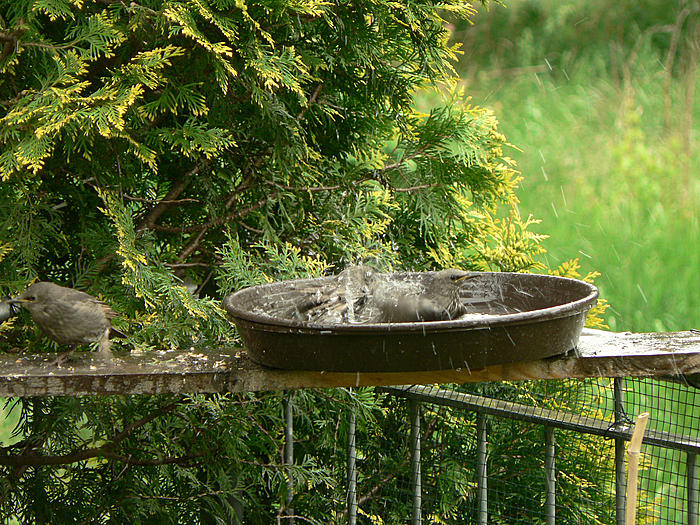 Klicke auf die Grafik fr eine grere Ansicht

Name:	P1550311_b2.jpg
Hits:	0
Gre:	149,4 KB
ID:	121551