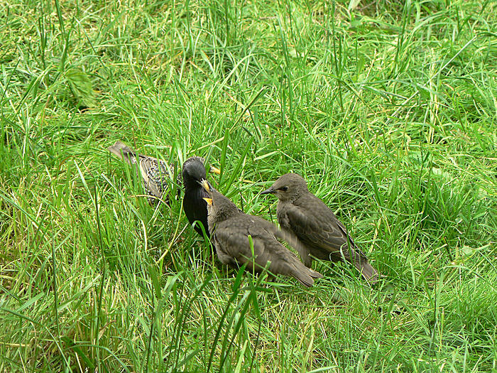 Klicke auf die Grafik fr eine grere Ansicht

Name:	P1550365_b2.jpg
Hits:	0
Gre:	150,8 KB
ID:	121600