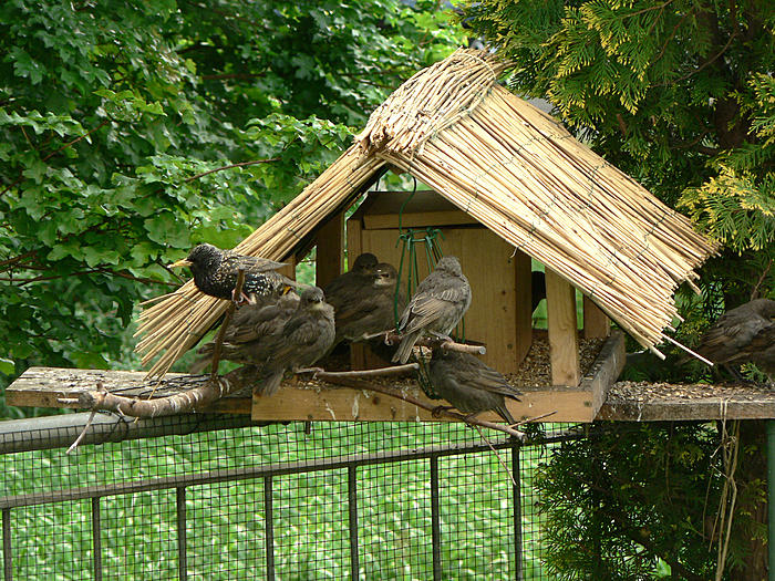Klicke auf die Grafik fr eine grere Ansicht

Name:	P1550373_b2.jpg
Hits:	0
Gre:	148,5 KB
ID:	121602
