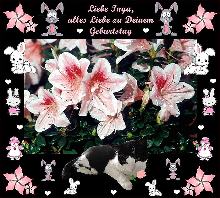 Klicke auf die Grafik fr eine grere Ansicht

Name:	Inga Neu.jpg
Hits:	0
Gre:	84,5 KB
ID:	124538