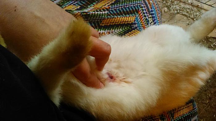 Klicke auf die Grafik f�r eine gr��ere Ansicht

Name:	Sven.jpg
Hits:	1
Gr��e:	65,8 KB
ID:	124781