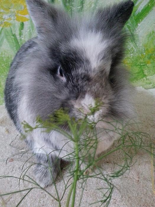 Klicke auf die Grafik für eine größere Ansicht
Name:	2013-12-05 13.28.50 (600x800).jpg
Hits:	2
Größe:	41,0 KB
ID:	126045