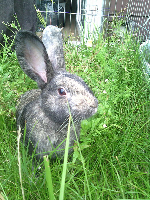Klicke auf die Grafik fr eine grere Ansicht

Name:	IMG_20150812_181543.jpg
Hits:	0
Gre:	75,7 KB
ID:	126151