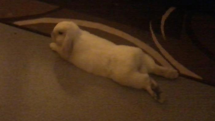 Klicke auf die Grafik für eine größere Ansicht
Name:	2015-04-19 20.13.09.jpg
Hits:	0
Größe:	16,2 KB
ID:	127635