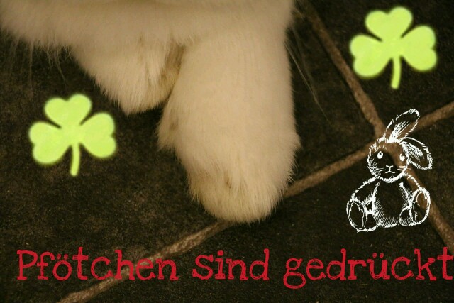 Klicke auf die Grafik fr eine grere Ansicht

Name:	PicsArt_09-06-12.15.07-640x427.jpg
Hits:	89
Gre:	70,5 KB
ID:	127731