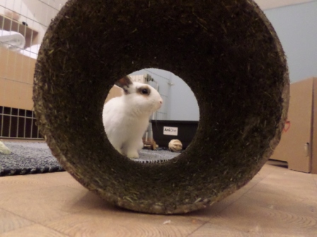 Klicke auf die Grafik fr eine grere Ansicht

Name:	Felix Tunnelblick.JPG
Hits:	101
Gre:	94,4 KB
ID:	131014
