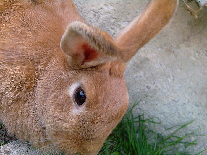 Klicke auf die Grafik fr eine grere Ansicht

Name:	Foto-0164.jpg
Hits:	0
Gre:	73,3 KB
ID:	131046