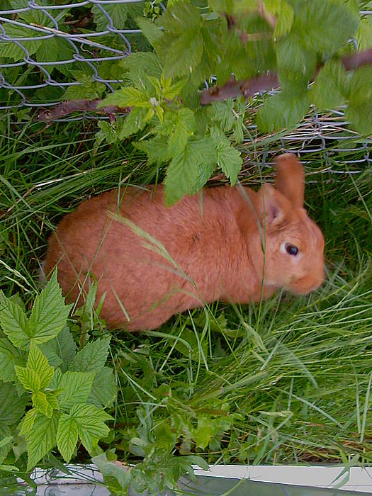 Klicke auf die Grafik fr eine grere Ansicht

Name:	Foto-0180.jpg
Hits:	0
Gre:	64,4 KB
ID:	131047