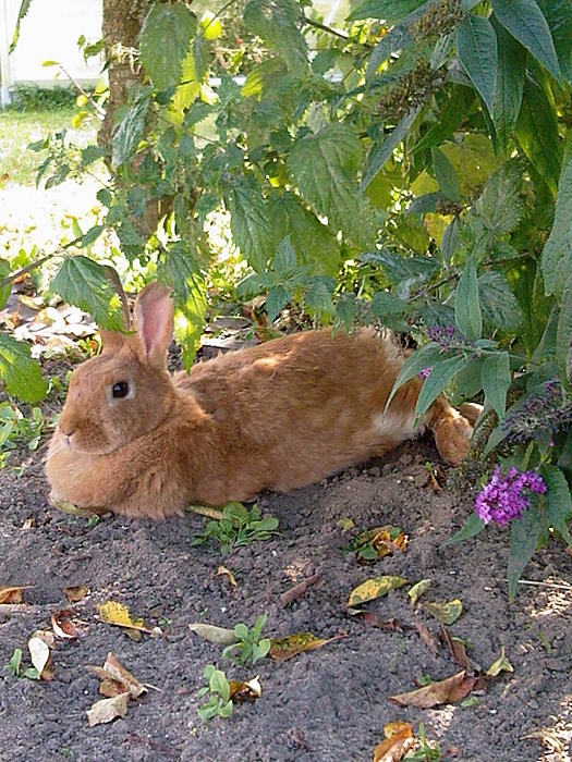 Klicke auf die Grafik fr eine grere Ansicht

Name:	Foto-0175.jpg
Hits:	0
Gre:	74,5 KB
ID:	131048