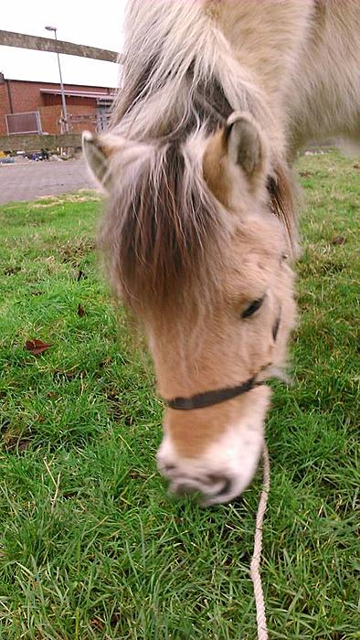 Klicke auf die Grafik f�r eine gr��ere Ansicht

Name:	Mulle.jpg
Hits:	0
Gr��e:	50,3 KB
ID:	134721