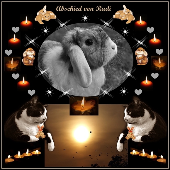 Klicke auf die Grafik fr eine grere Ansicht

Name:	Rudi Inga NB klein.jpg
Hits:	1
Gre:	50,1 KB
ID:	135201