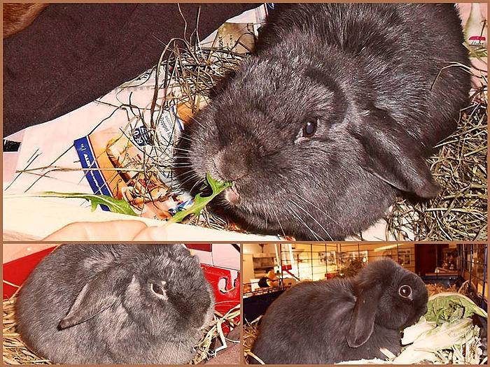 Klicke auf die Grafik f�r eine gr��ere Ansicht

Name:	Desktop5.jpg
Hits:	1
Gr��e:	120,9 KB
ID:	136314