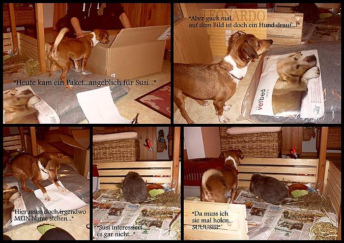 Klicke auf die Grafik f�r eine gr��ere Ansicht

Name:	CollageVetbed.jpg
Hits:	4
Gr��e:	89,8 KB
ID:	136488