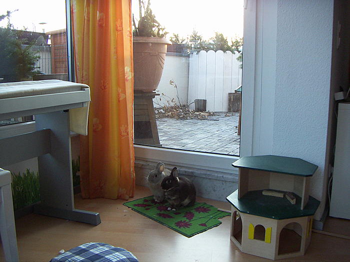 Klicke auf die Grafik fr eine grere Ansicht

Name:	HASEN_3.jpg
Hits:	1
Gre:	58,9 KB
ID:	137525