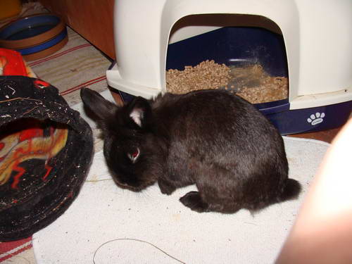 Klicke auf die Grafik fr eine grere Ansicht

Name:	fritz03.JPG
Hits:	36
Gre:	25,6 KB
ID:	13817