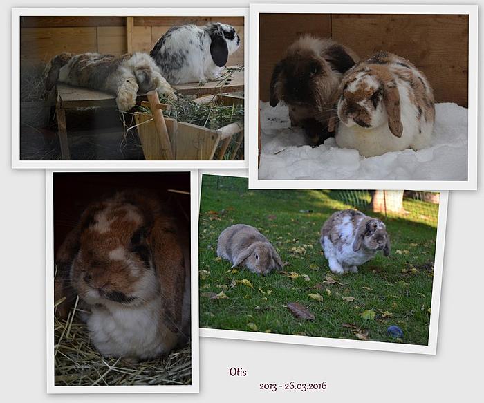 Klicke auf die Grafik fr eine grere Ansicht

Name:	Otis Memory.jpg
Hits:	0
Gre:	55,7 KB
ID:	138398