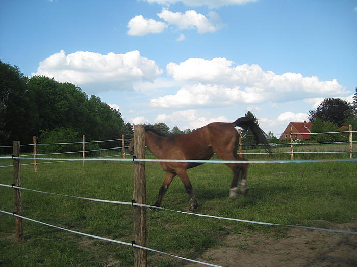Klicke auf die Grafik f�r eine gr��ere Ansicht

Name:	kkkkk 143.jpg
Hits:	1
Gr��e:	57,4 KB
ID:	140293