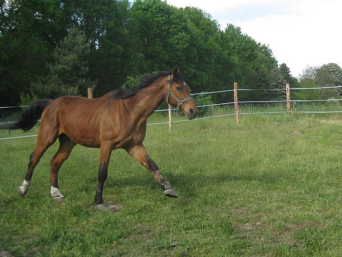 Klicke auf die Grafik f�r eine gr��ere Ansicht

Name:	kkkkk 150.jpg
Hits:	0
Gr��e:	82,8 KB
ID:	140298