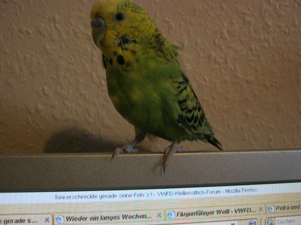 Klicke auf die Grafik fr eine grere Ansicht

Name:	lui15.jpg
Hits:	127
Gre:	53,1 KB
ID:	142079