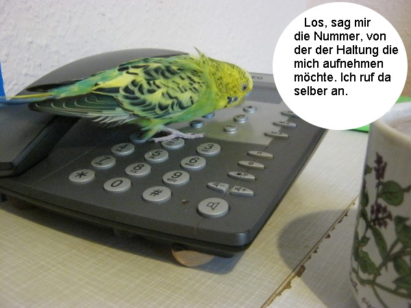Klicke auf die Grafik fr eine grere Ansicht

Name:	lui16.jpg
Hits:	128
Gre:	69,0 KB
ID:	142083